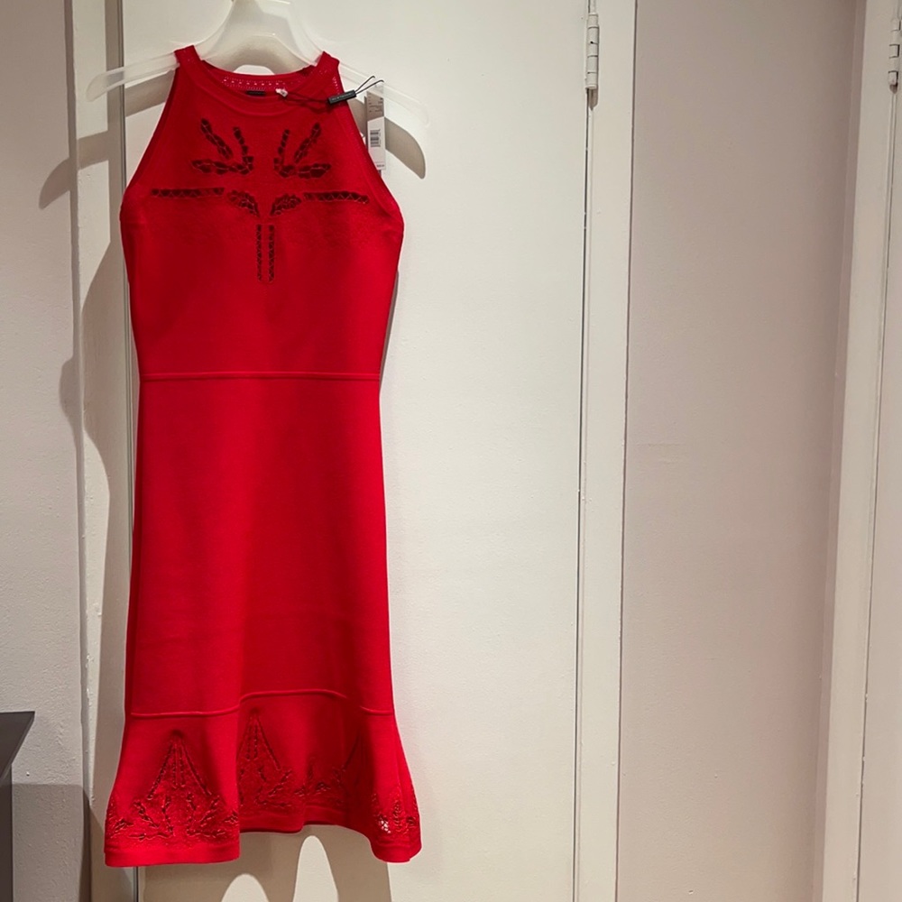 Beautiful Elie Tahari dress.